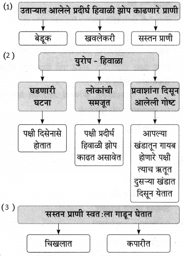 Maharashtra-Board-Class-9-Marathi-Aksharbharati-Solutions-Chapter-11-आभाळातल्या-पाऊलवाटा-12