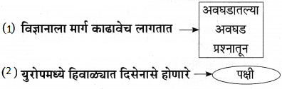 Maharashtra-Board-Class-9-Marathi-Aksharbharati-Solutions-Chapter-11-आभाळातल्या-पाऊलवाटा-13