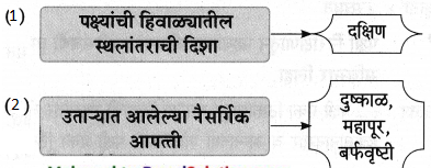 Maharashtra-Board-Class-9-Marathi-Aksharbharati-Solutions-Chapter-11-आभाळातल्या-पाऊलवाटा-24