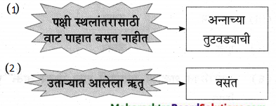 Maharashtra-Board-Class-9-Marathi-Aksharbharati-Solutions-Chapter-11-आभाळातल्या-पाऊलवाटा-31