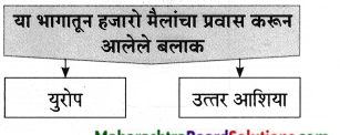 Maharashtra-Board-Class-9-Marathi-Aksharbharati-Solutions-Chapter-11-आभाळातल्या-पाऊलवाटा-5