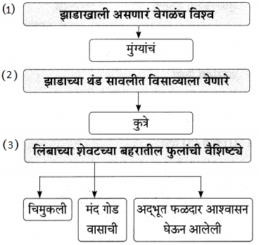 Maharashtra-Board-Class-9-Marathi-Aksharbharati-Solutions-Chapter-14-ते-जीवनदायी-झाड-14