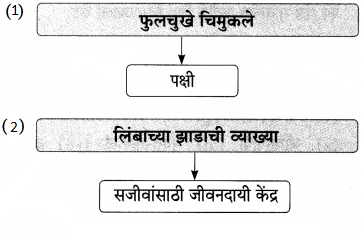 Maharashtra-Board-Class-9-Marathi-Aksharbharati-Solutions-Chapter-14-ते-जीवनदायी-झाड-16