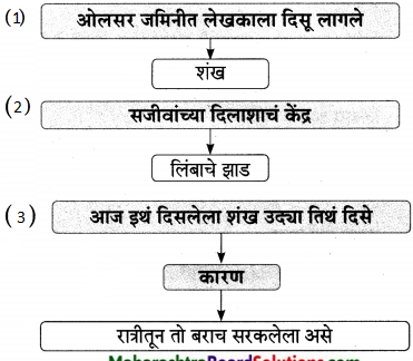 Maharashtra-Board-Class-9-Marathi-Aksharbharati-Solutions-Chapter-14-ते-जीवनदायी-झाड-7
