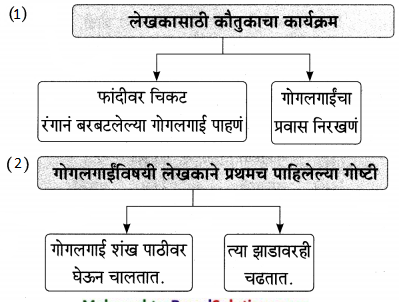 Maharashtra-Board-Class-9-Marathi-Aksharbharati-Solutions-Chapter-14-ते-जीवनदायी-झाड-8