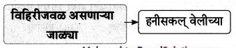 Maharashtra-Board-Class-9-Marathi-Aksharbharati-Solutions-Chapter-16-शब्दांचा-खेळ-20