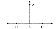 Maharashtra-Board-Class-9-Maths-Solutions-Chapter-1-Basic-Concepts-in-Geometry-Problem-Set-1-5