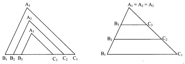 Maharashtra-Board-Class-9-Maths-Solutions-Chapter-3-Triangles-Problem-Set-3-22