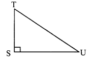 Maharashtra-Board-Class-9-Maths-Solutions-Chapter-8-Trigonometry-Problem-Set-8-2