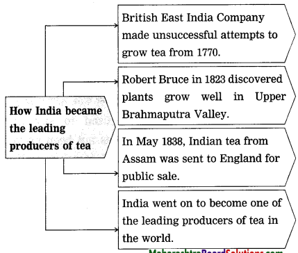 Maharashtra-Board-Class-9-My-English-Coursebook-Solutions-Chapter-1.4-The-Story-of-Tea-7