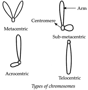 Maharashtra-Board-Class-9-Science-Solutions-Chapter-16-Heredity-and-Variation-7