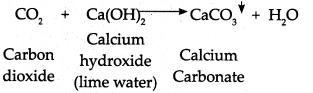 Maharashtra-Board-Class-9-Science-Solutions-Chapter-5-Acids-Bases-and-Salts-38-1